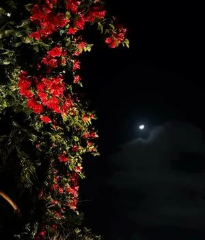 Lyndi Grace OnlyFans Leaked Free Thumbnail Picture - #rfpQYe9Nsx