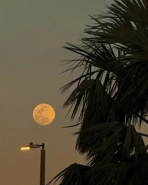 Lyndi Grace OnlyFans Leaked Free Thumbnail Picture - #uhADKUM4Pk