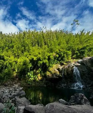 Maadsun OnlyFans Leaked Free Thumbnail Picture - #9ubOYKZjyy