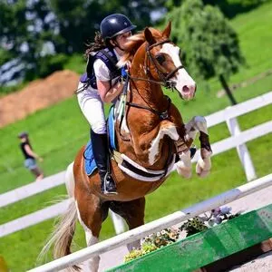 Mackenzie Rosman OnlyFans Leaked Free Thumbnail Picture - #dHHnAOD5em