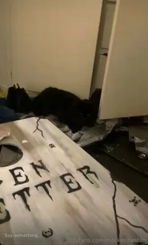 Mackenziestith OnlyFans Leaked Free Thumbnail Picture - #bnplI6ps3u