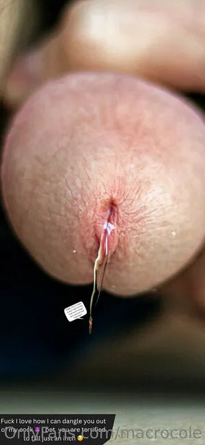 Macrocole OnlyFans Leaked Free Thumbnail Picture - #081tKaWwXl