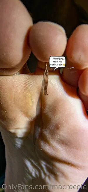 Macrocole OnlyFans Leaked Free Thumbnail Picture - #7lJqQr6wxC
