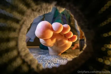 Macrocole OnlyFans Leaked Free Thumbnail Picture - #BMa9IXnse0