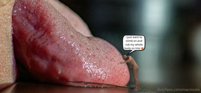 Macrocole OnlyFans Leaked Free Thumbnail Picture - #N7AHzPpTKI