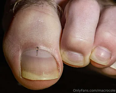 Macrocole OnlyFans Leaked Free Thumbnail Picture - #SsM09fXh7L