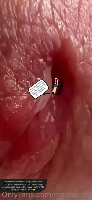 Macrocole OnlyFans Leaked Free Thumbnail Picture - #T9A3HLq5oB
