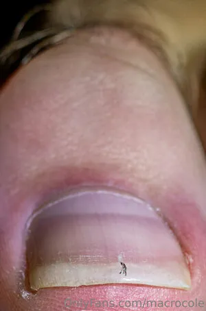 Macrocole OnlyFans Leaked Free Thumbnail Picture - #XVMxYUs5lx