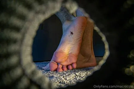 Macrocole OnlyFans Leaked Free Thumbnail Picture - #fAtOqcyUdg