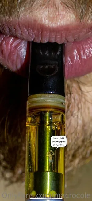 Macrocole OnlyFans Leaked Free Thumbnail Picture - #o5MJaK4DoU