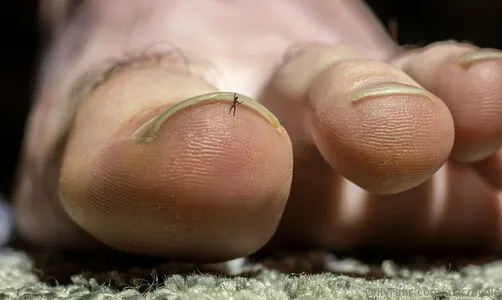 Macrocole OnlyFans Leaked Free Thumbnail Picture - #wecvUFBgYy
