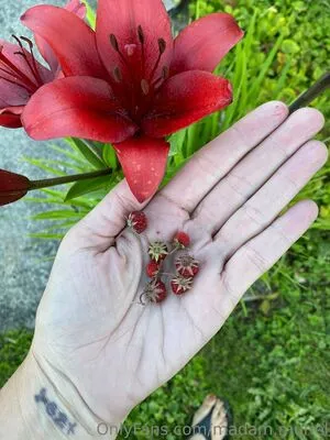 Madam Muriel OnlyFans Leaked Free Thumbnail Picture - #hsO6m2OFFk