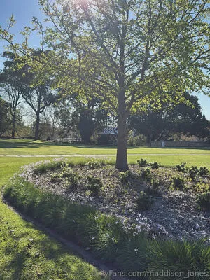 Maddison Jones OnlyFans Leaked Free Thumbnail Picture - #LRgAbQdViE