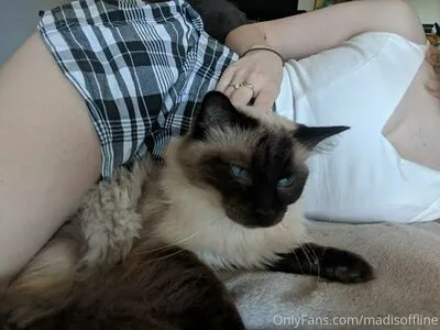 Madisoffline OnlyFans Leaked Free Thumbnail Picture - #ij1ZgsmlXa