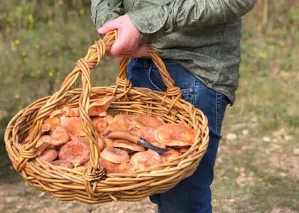 Magicmushroom OnlyFans Leaked Free Thumbnail Picture - #vYsJv21FMs