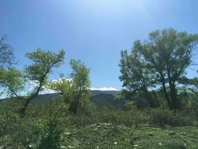 Magnetic Ami OnlyFans Leaked Free Thumbnail Picture - #HTY3zYBPuX