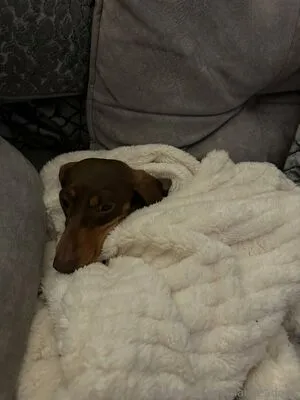 Maimeadows OnlyFans Leaked Free Thumbnail Picture - #Pm7IcMKLTb