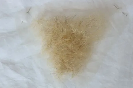 Maimynyan OnlyFans Leaked Free Thumbnail Picture - #76Jqw6ceXB