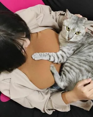 Maipei1 OnlyFans Leaked Free Thumbnail Picture - #jkqenyn3zQ