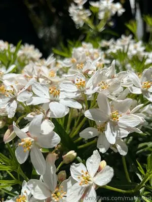 Makisbed OnlyFans Leaked Free Thumbnail Picture - #YmyNgHL5yG