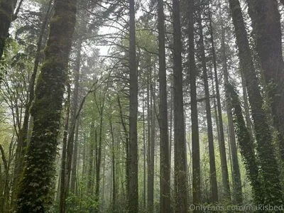 Makisbed OnlyFans Leaked Free Thumbnail Picture - #qqIg8htAqE