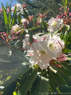 Makisbed OnlyFans Leaked Free Thumbnail Picture - #yoOr9TVbKa