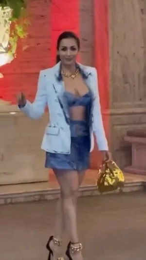 Malaika Arora OnlyFans Leaked Free Thumbnail Picture - #8REVorWnCE