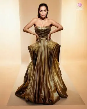 Malaika Arora OnlyFans Leaked Free Thumbnail Picture - #nckdYVrBnk