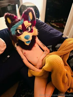 Malamutts OnlyFans Leaked Free Thumbnail Picture - #LKtXo5iMPr