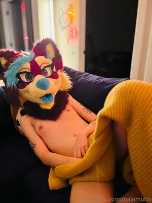 Malamutts OnlyFans Leaked Free Thumbnail Picture - #U0fgWy5hzl