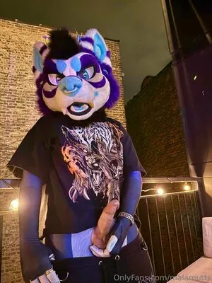 Malamutts OnlyFans Leaked Free Thumbnail Picture - #jENSxrY3dX