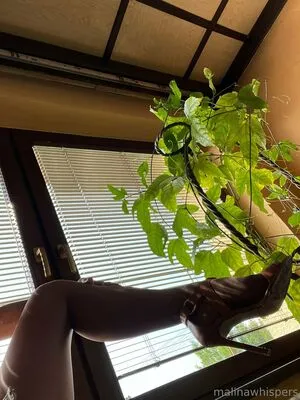 Malinawhispers OnlyFans Leaked Free Thumbnail Picture - #mHBNhj5B8R