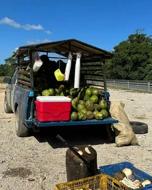 Mamellows OnlyFans Leaked Free Thumbnail Picture - #AeHh9PjC8w