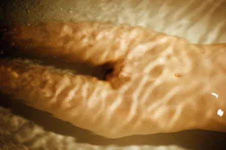 Marat Safin OnlyFans Leaked Free Thumbnail Picture - #AltqYvaSW7