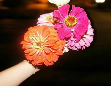 Maria Alba OnlyFans Leaked Free Thumbnail Picture - #O2m7FPPbkn