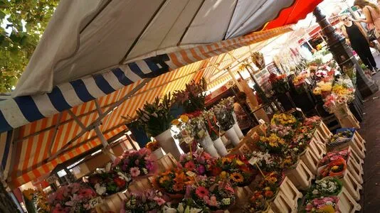 Maria Alba OnlyFans Leaked Free Thumbnail Picture - #Zr9OrEGAfB