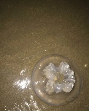 Maria Luz OnlyFans Leaked Free Thumbnail Picture - #EDX84DyjHV