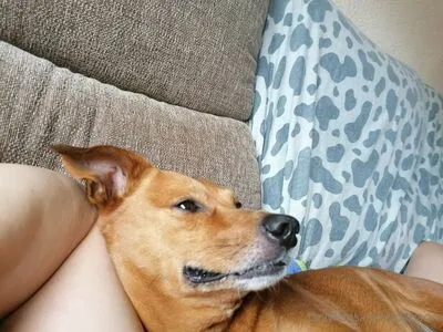 Mariacva OnlyFans Leaked Free Thumbnail Picture - #L6CotiABnU