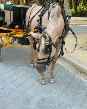 Mariana De Sousa OnlyFans Leaked Free Thumbnail Picture - #lE1q7Z2tbe