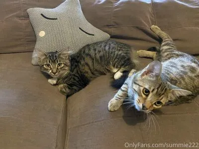 Marigold Sunrise OnlyFans Leaked Free Thumbnail Picture - #j5WG7jgzPU