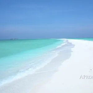 Marina Gold OnlyFans Leaked Free Thumbnail Picture - #CoQ5ymQyBe