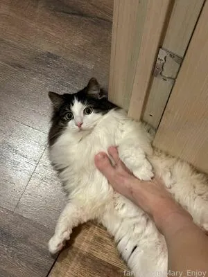 Mary Enjoy OnlyFans Leaked Free Thumbnail Picture - #42sFfsUX9S