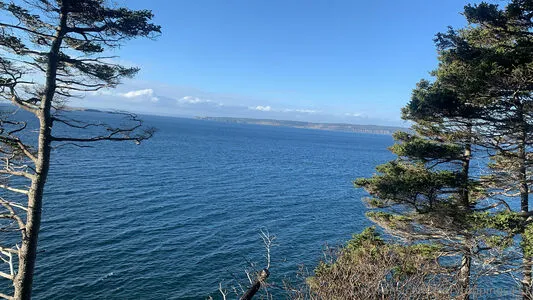 Marytoppings411 OnlyFans Leaked Free Thumbnail Picture - #7hLdy9g57d