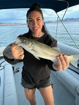 Mason Moore OnlyFans Leaked Free Thumbnail Picture - #Ir2IPUdBxe