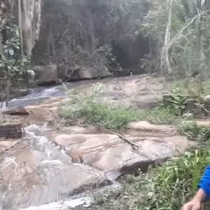 Mato Verde Tapir OnlyFans Leaked Free Thumbnail Picture - #fBQuTdJ3ML