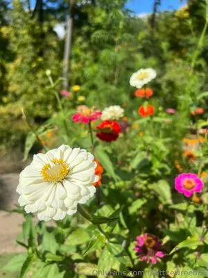 Matthewreed65 OnlyFans Leaked Free Thumbnail Picture - #k2xE2NX3fw