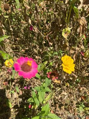 Matthewreed65 OnlyFans Leaked Free Thumbnail Picture - #tFkcLFrf9b