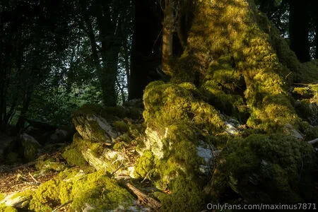 Maximus7871 OnlyFans Leaked Free Thumbnail Picture - #2hJTfVNpnS