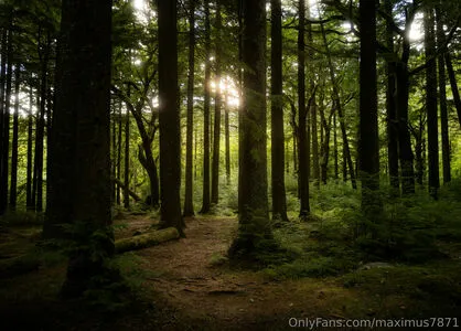 Maximus7871 OnlyFans Leaked Free Thumbnail Picture - #iEaq8yjJj6