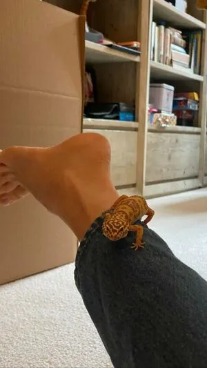 Maya Hawke OnlyFans Leaked Free Thumbnail Picture - #6Tx9EKH8BS